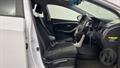 Lazy Owl Image