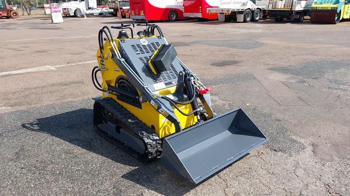 Lazy Owl Image