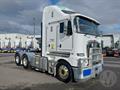 Lazy Owl Image