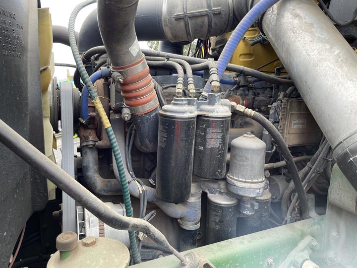 Lazy Owl Image