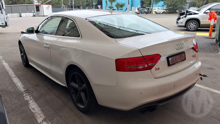 Lazy Owl Image