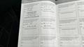 Lazy Owl Image