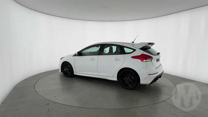 Lazy Owl Image