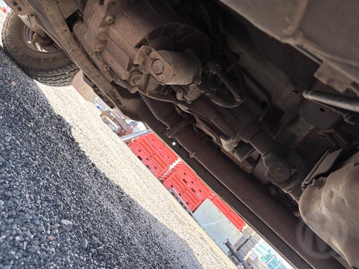 Lazy Owl Image