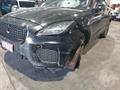 Lazy Owl Image