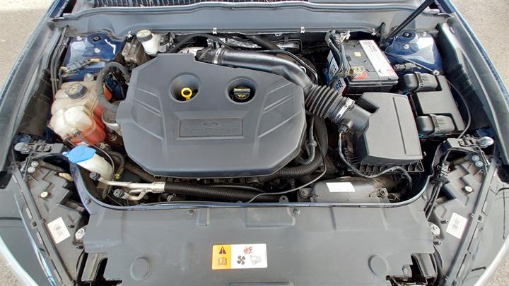 Lazy Owl Image