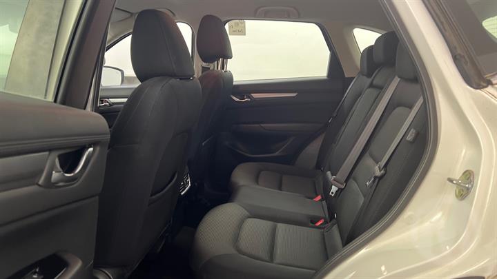 Lazy Owl Image