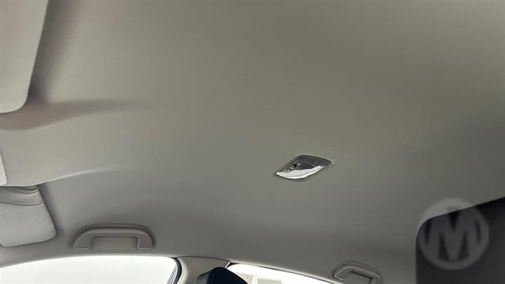 Lazy Owl Image