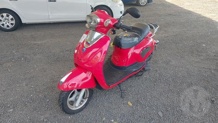 Lazy Owl Image