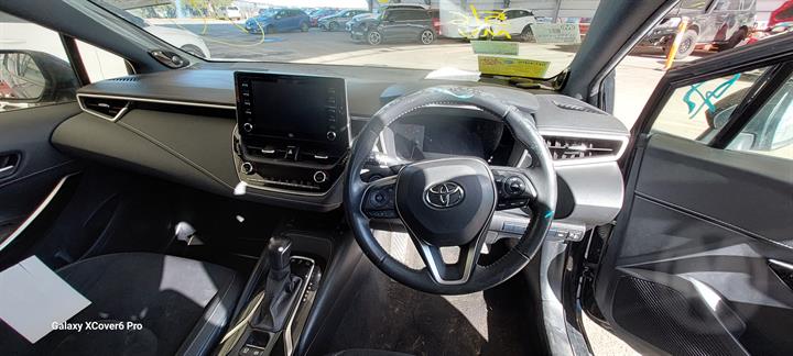 Lazy Owl Image