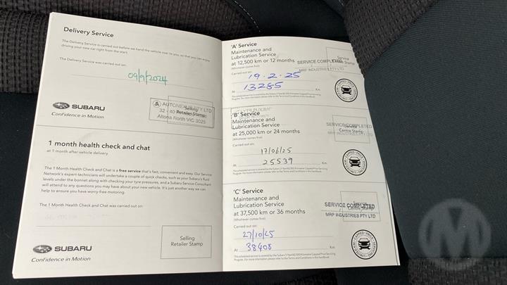 Lazy Owl Image