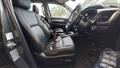 Lazy Owl Image