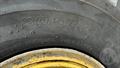 Lazy Owl Image