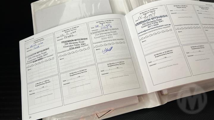 Lazy Owl Image