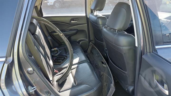 Lazy Owl Image