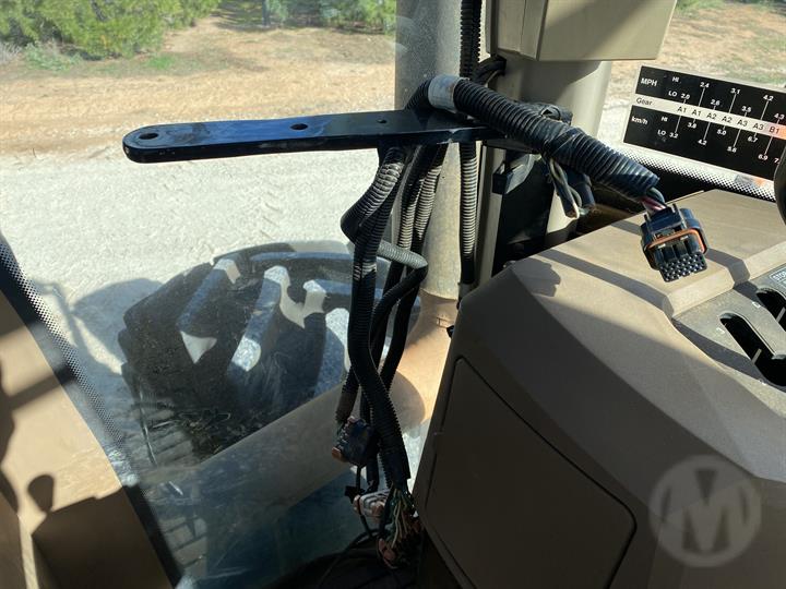 Lazy Owl Image