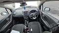Lazy Owl Image