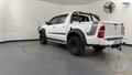 Lazy Owl Image