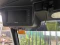 Lazy Owl Image
