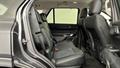 Lazy Owl Image