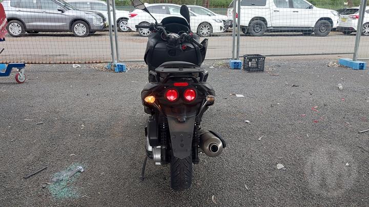 Lazy Owl Image