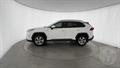 Lazy Owl Image
