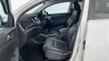 Lazy Owl Image