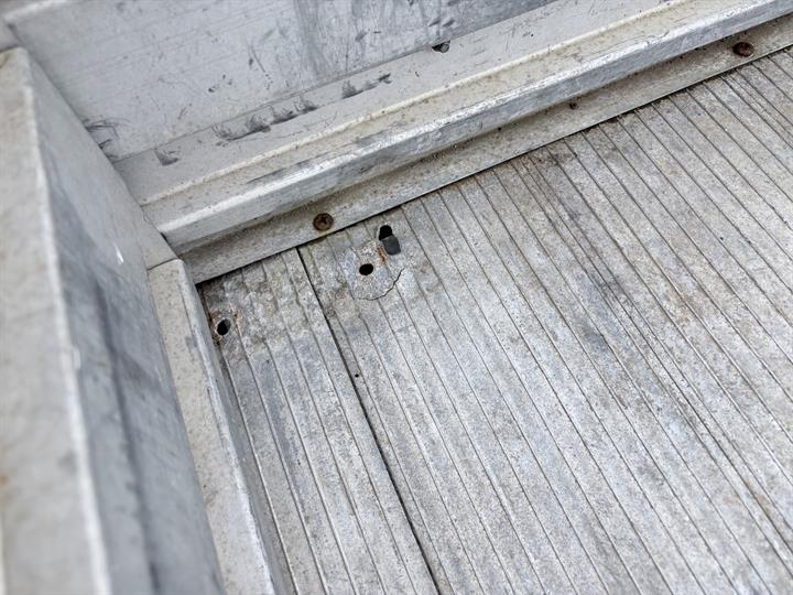 Lazy Owl Image