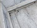Lazy Owl Image