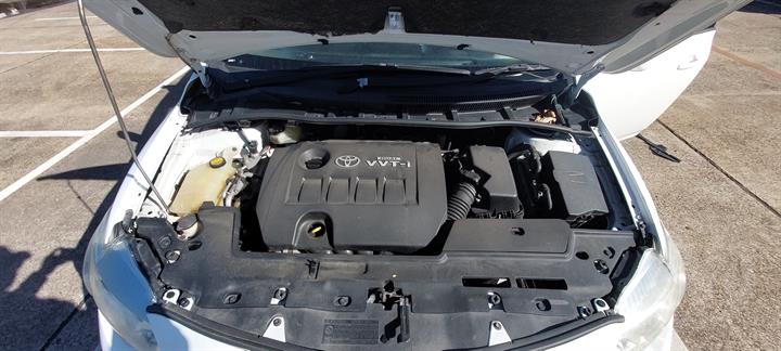 Lazy Owl Image