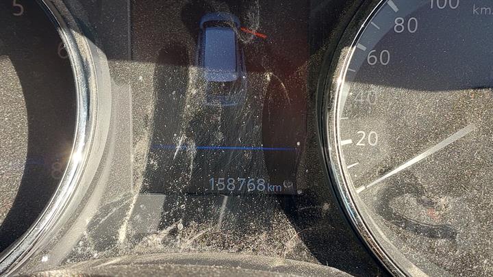 Lazy Owl Image