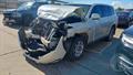 Lazy Owl Image