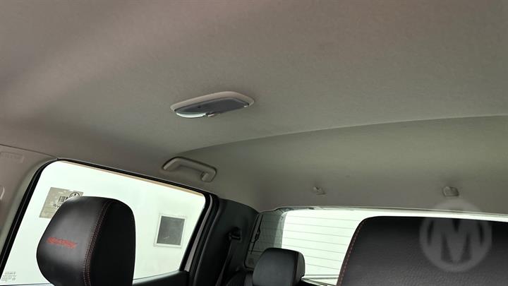 Lazy Owl Image
