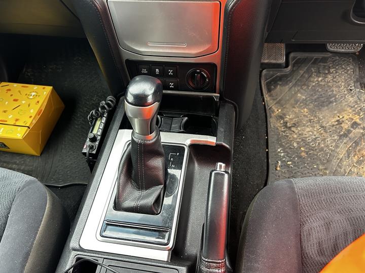 Lazy Owl Image