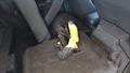 Lazy Owl Image