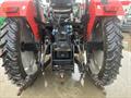 Lazy Owl Image