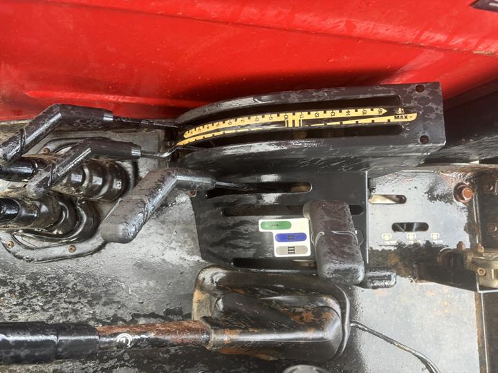 Lazy Owl Image