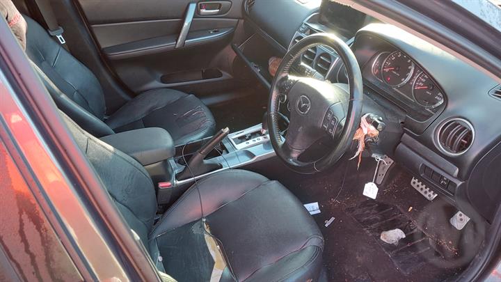 Lazy Owl Image