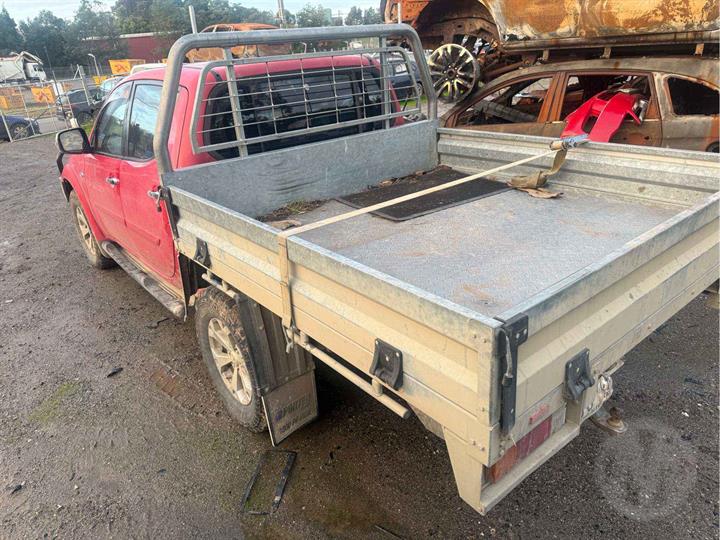 Lazy Owl Image