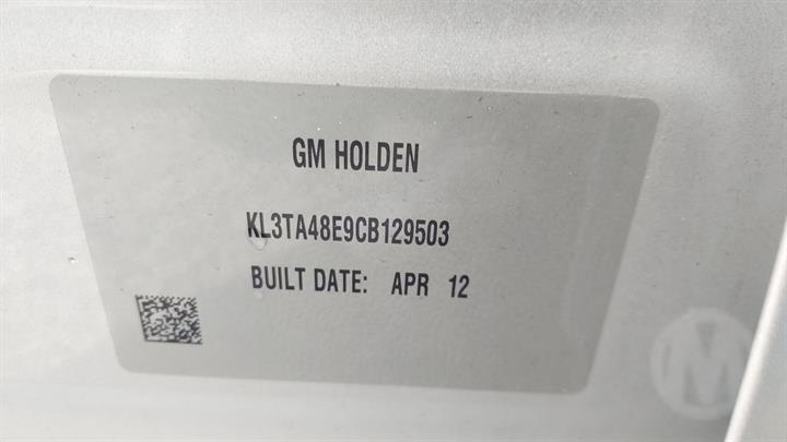 Lazy Owl Image