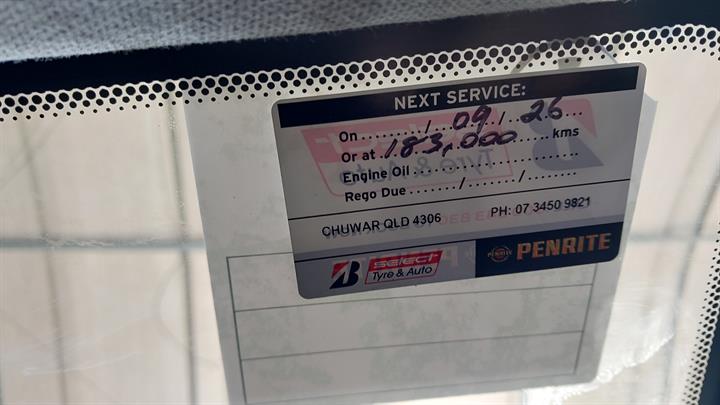 Lazy Owl Image