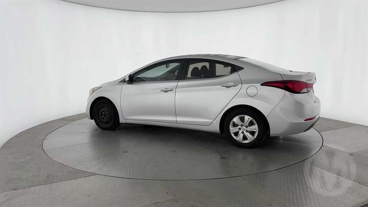 Lazy Owl Image