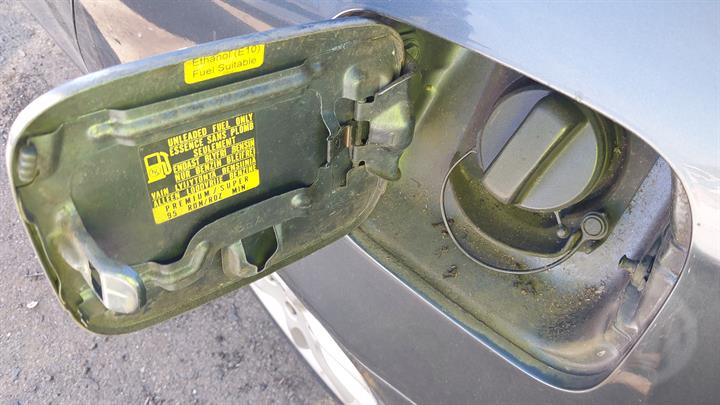 Lazy Owl Image