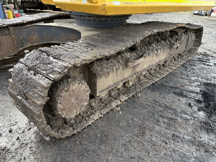 Lazy Owl Image