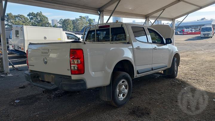 Lazy Owl Image