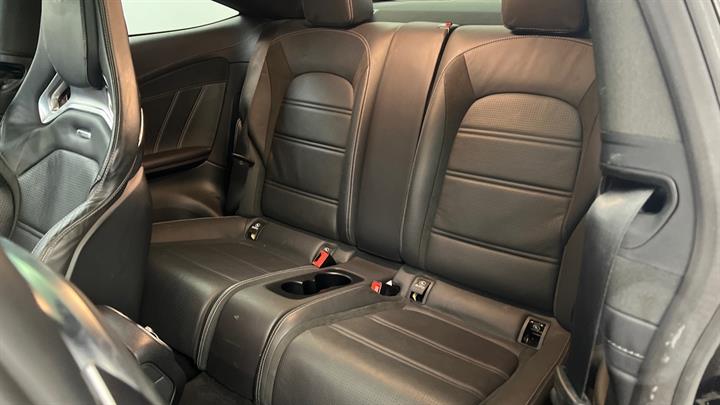 Lazy Owl Image
