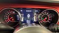 Lazy Owl Image
