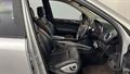 Lazy Owl Image