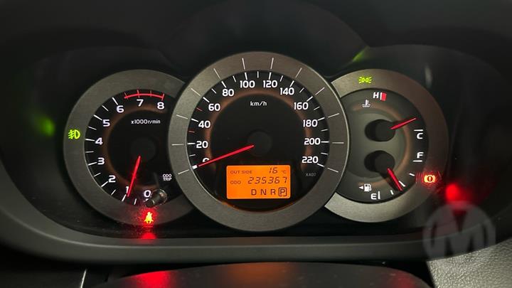 Lazy Owl Image
