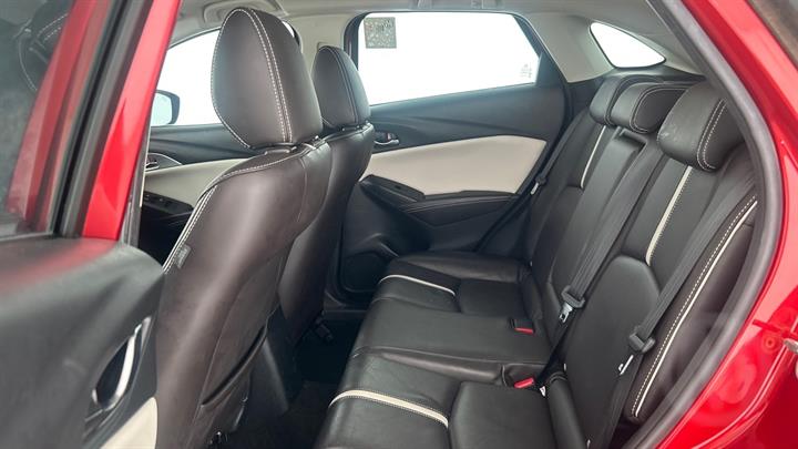 Lazy Owl Image